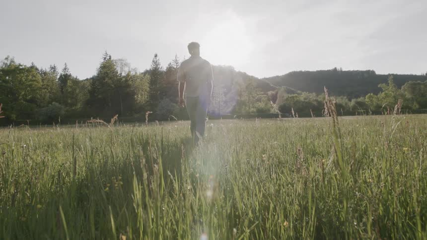 A man walks through a sun drenched field of tall grass with trees and hills in the background