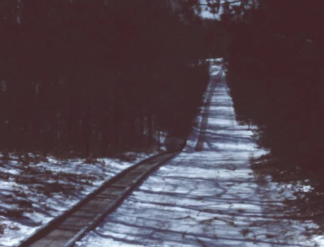 People take a ride on a sled on a track in a bygone era
