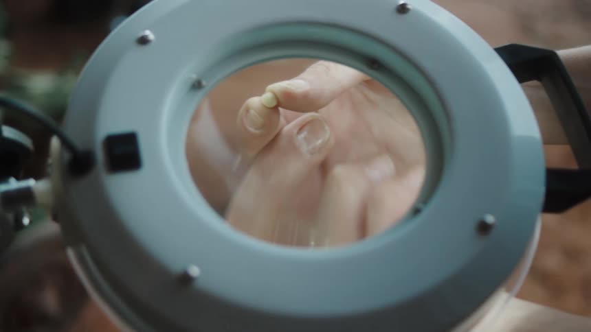 Hand holding a white grain seen through a magnifying glass