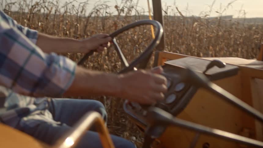 A farmer wearing a plaid shirt and straw hat drives a tractor through a dry harvested cornfield under a bright sky