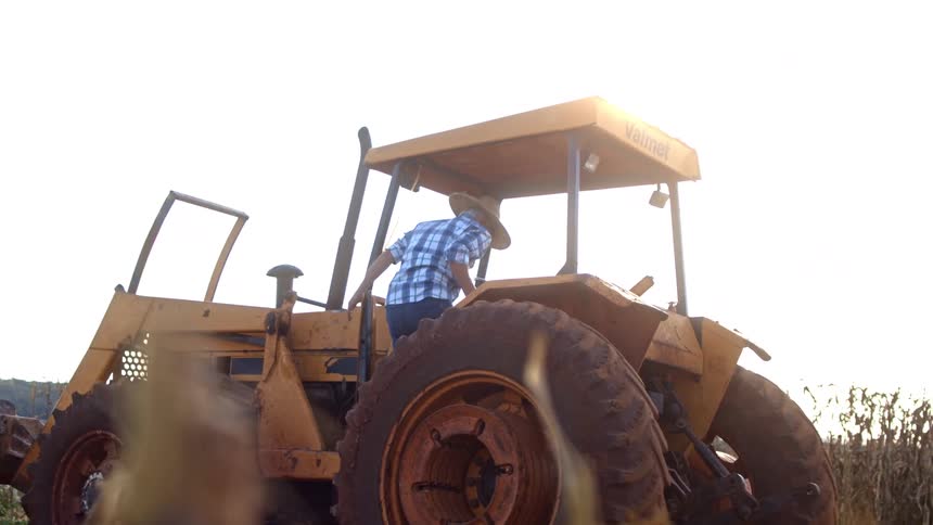 A man in a straw hat and plaid shirt is seen operating a yellow tractor in a field of tall dry plants with sunlight shining brightly