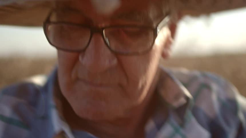 A man is looking back while driving a tractor