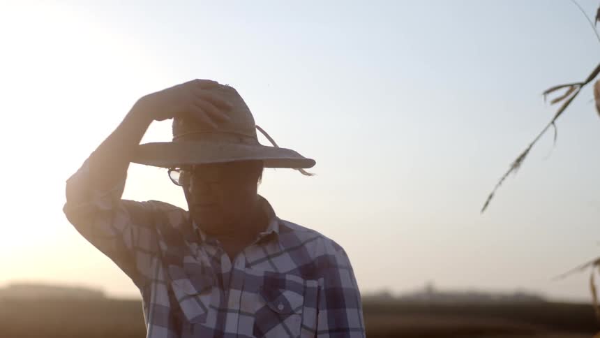 A farmer wearing glasses cuts a corn stem and takes off his hat looking tired