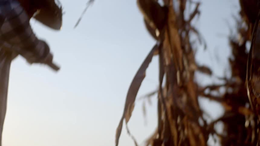 Man in a hat in a farm field with a scythe