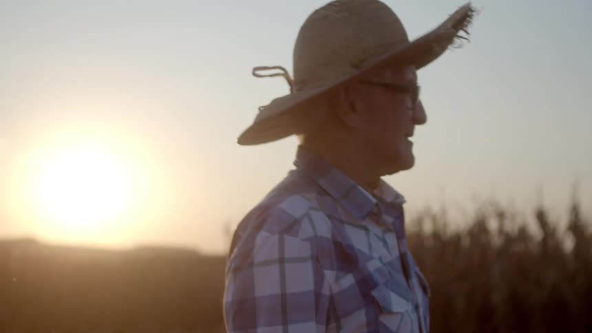 Man in hat walking through agricultural area