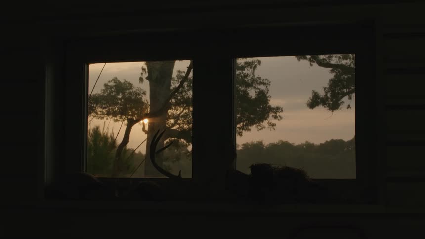 A view of  a window looking outside at the sun and trees
