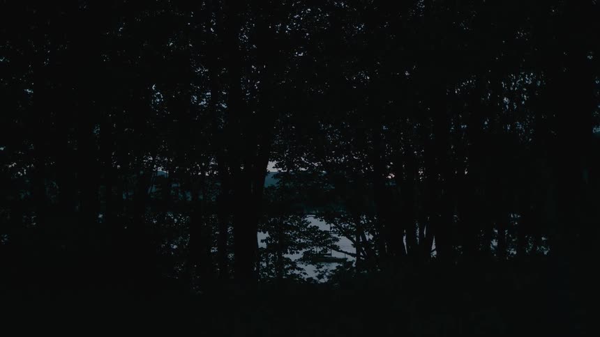 A heavily wooded area with water and mountains in the background