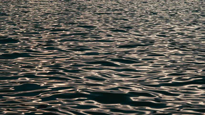 Sunlight reflects on the rippling water