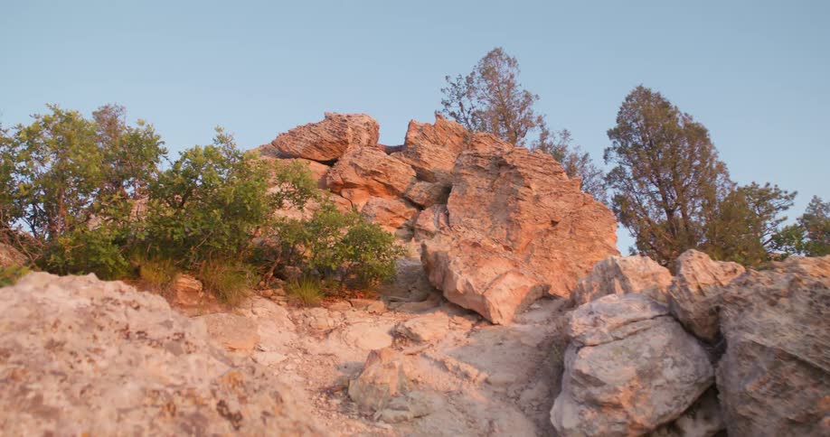 Rocky hillside with scattered trees under clear sky during golden hour