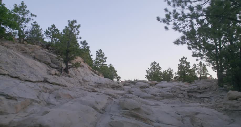 Rocky terrain going uphill surrounded by trees
