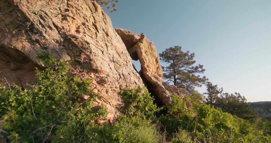 A canyon is shown with scattered green plants and bushes around it
