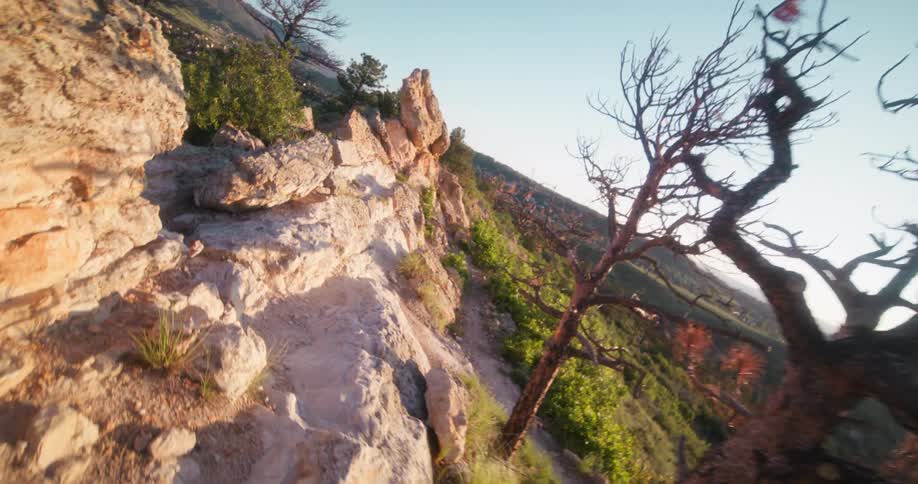 Rocky trail along ridge with scattered trees and mountains in sunlight