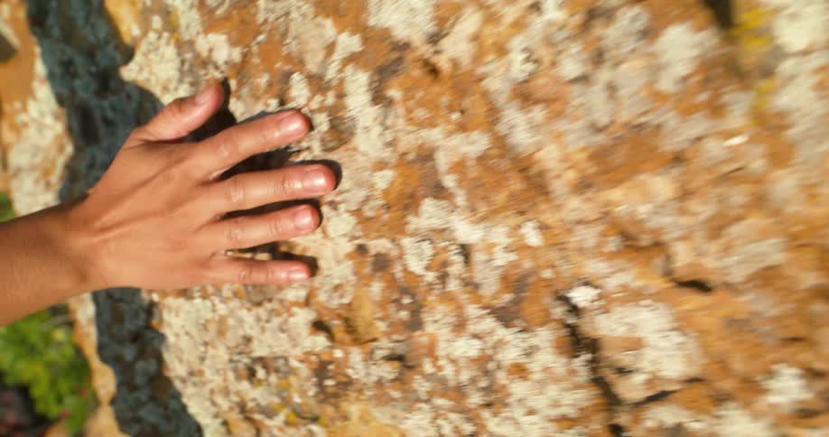 A hand with light brown skin and visible veins touches a rough textured rock covered with patches of light colored lichen