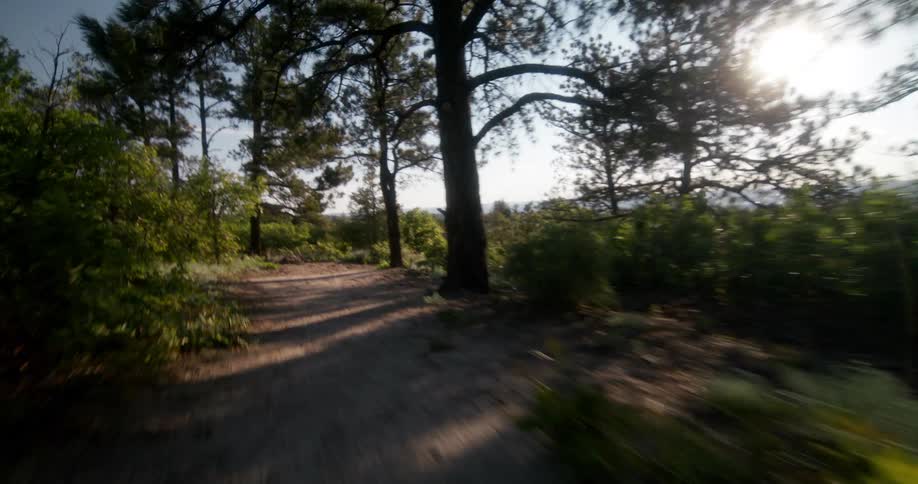 A fast moving view down a sunlit mountain path through trees and brush