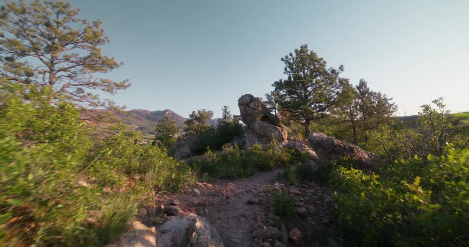 Dirt trail surrounded by vegetation and rocks leads to a treelined area under clear skies