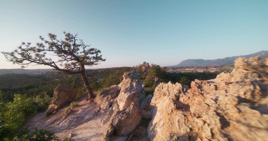 Mountain top landscape with trees and rocks at dawn