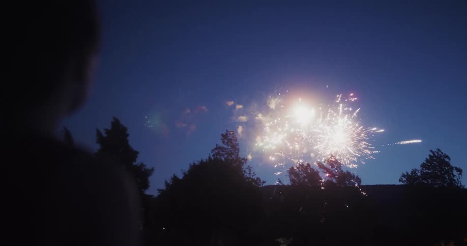 A silhouetted figure watches as bright fireworks light up the dark night sky with tree outlines visible beneath the bursts