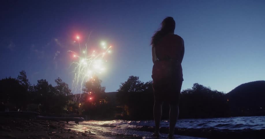 A person stands on the lakeshore watching fireworks light up the evening sky