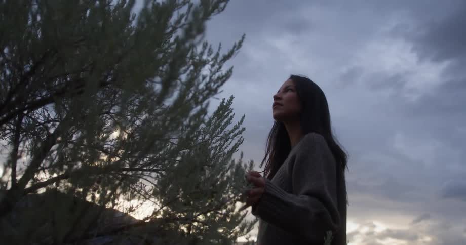 A woman gazes upward at dusk gently touching a bush in a serene landscape