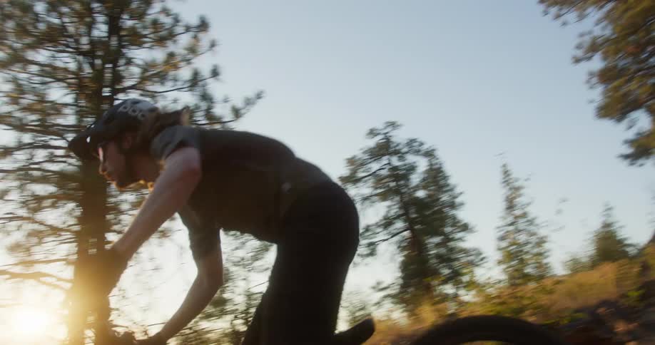 A person on a bicycle rides down a rocky dirt path surrounded by tall pine trees under a clear sky