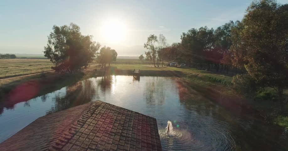 A small pond has two piers on a farm near Bakersfield