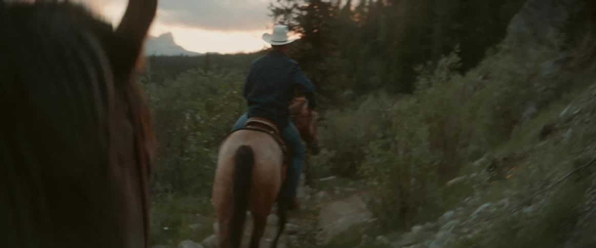 Two people riding horses on a trail