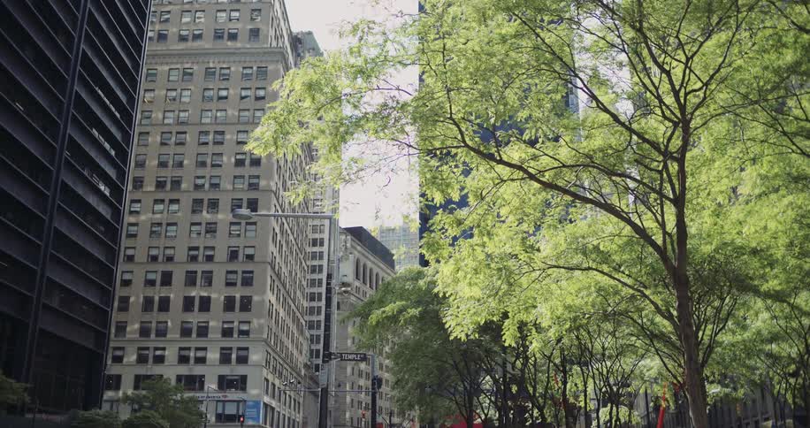 A sunlit city street is lined with tall buildings and green trees