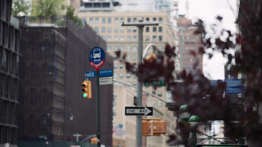 Dark reddish leaves in sharp focus contrast with a blurred urban backdrop of traffic lights buildings and a city street