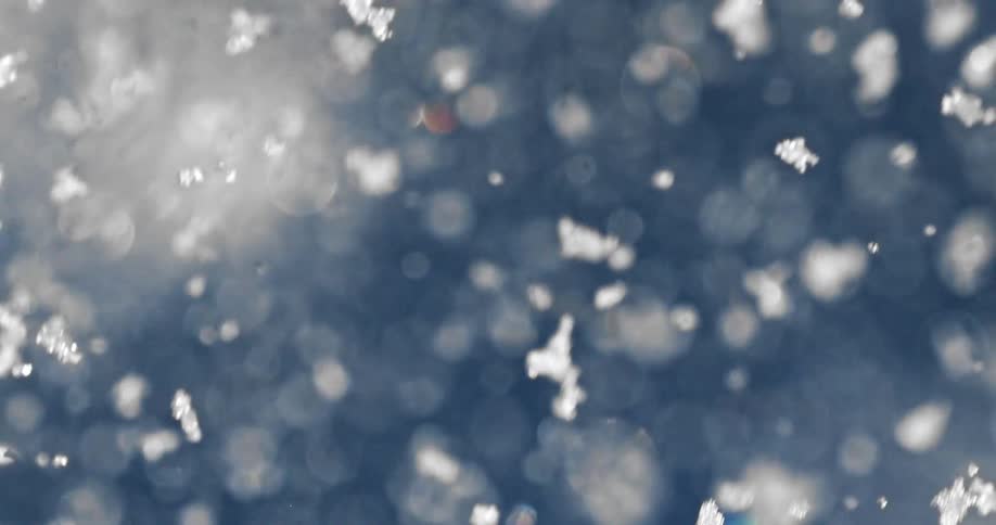 White snowflakes drift against a softly focused bluish background