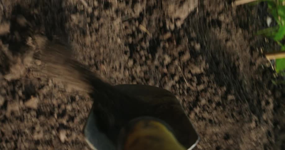 Shovel with handle moving earth in a natural area