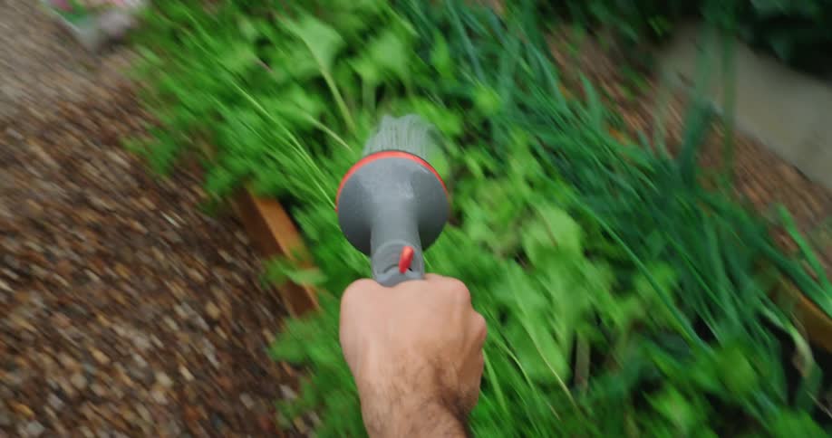 The man waters his garden