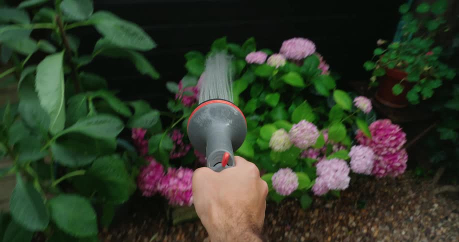 A firstperson perspective shot with a hand holding a darkcolored garden hose nozzle that is actively spraying water the water is visible as a fine misty stream coming out of the nozzle