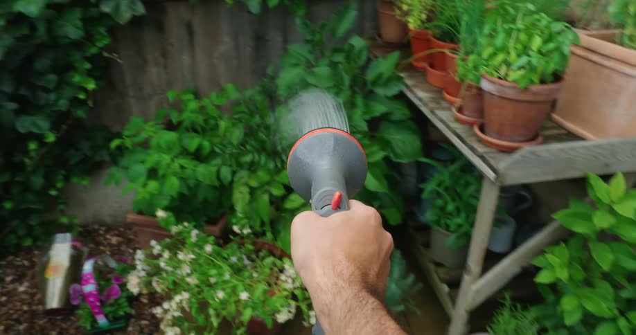 Point of view watering back patio garden with a spray nozzle