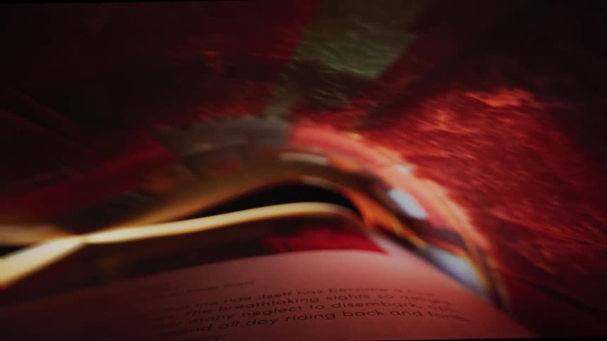 Book inside a blanket