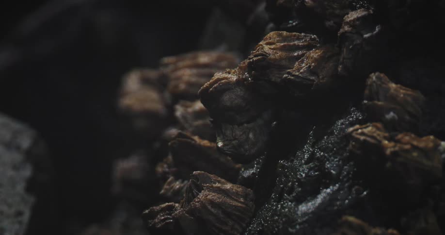 The fungus is wet and in the dark