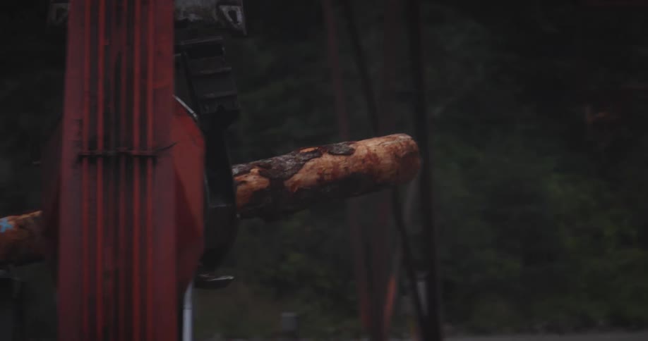 A closeup shows a large mechanical claw on a hitachi logging machine firmly gripping and maneuvering a large log