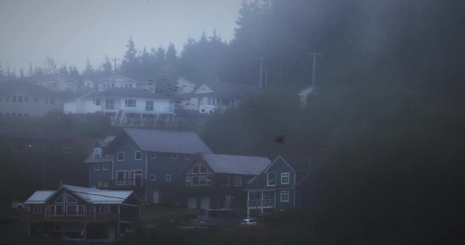 Colorful houses next to a forested mountain on a foggy day