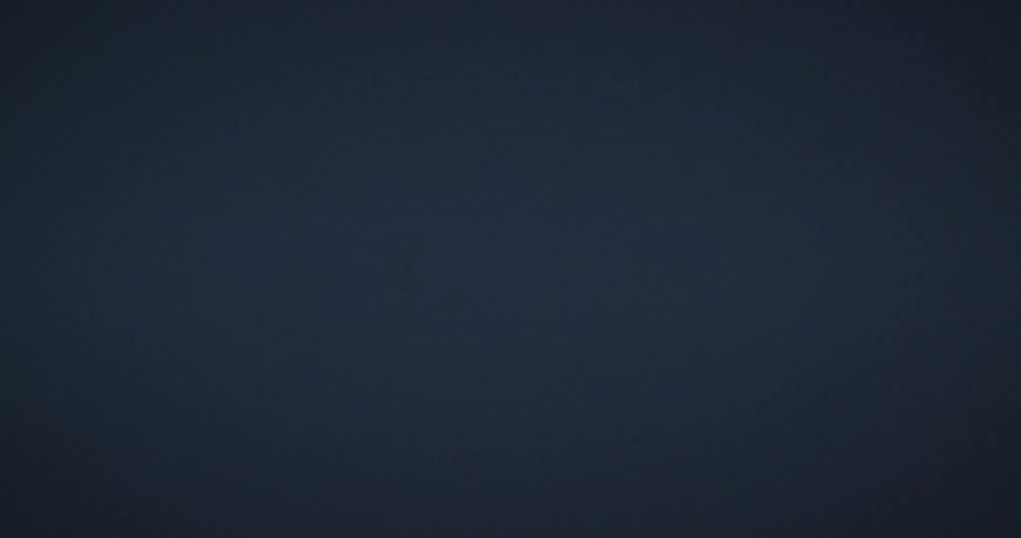 Blurry insects fly against a dark blue background