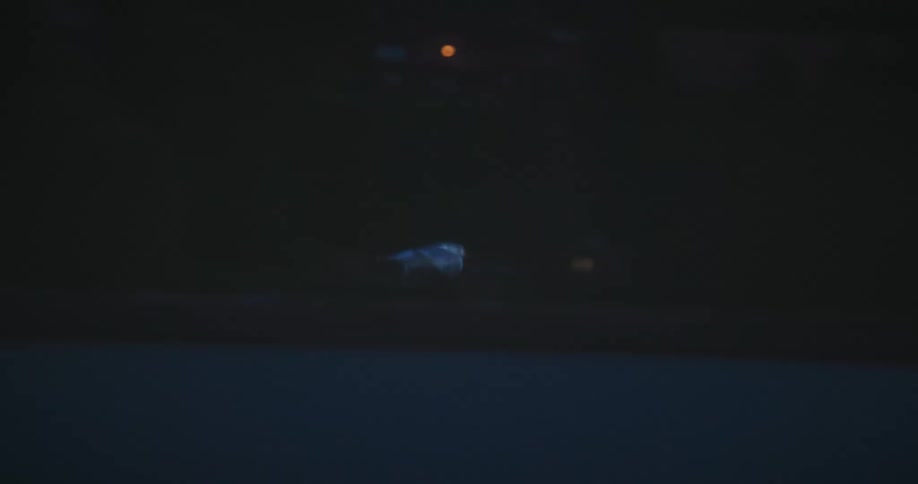 Two birds flying above the sea at night