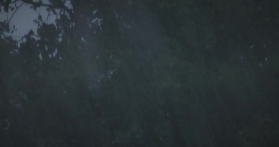 A view from a raincovered window pans up to reveal the tops of trees swaying in a strong wind storm