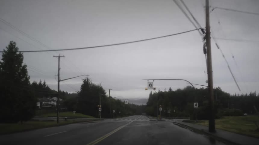Drive on an asphalt road surrounded by conifers on a cloudy day