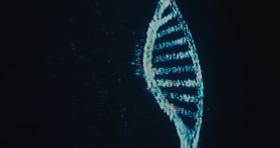 Screen displaying the genetic code