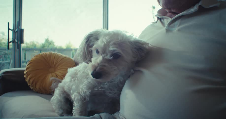 Elderly man sitting on a couch with a small white dog resting affectionately against him