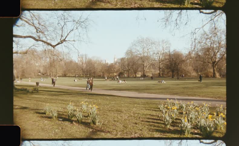 People are walking through the park together