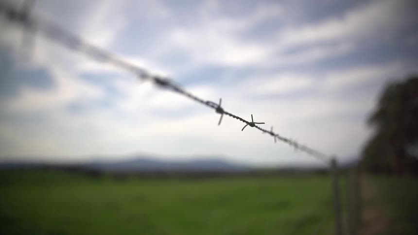 Barbed wire fence bordering a field