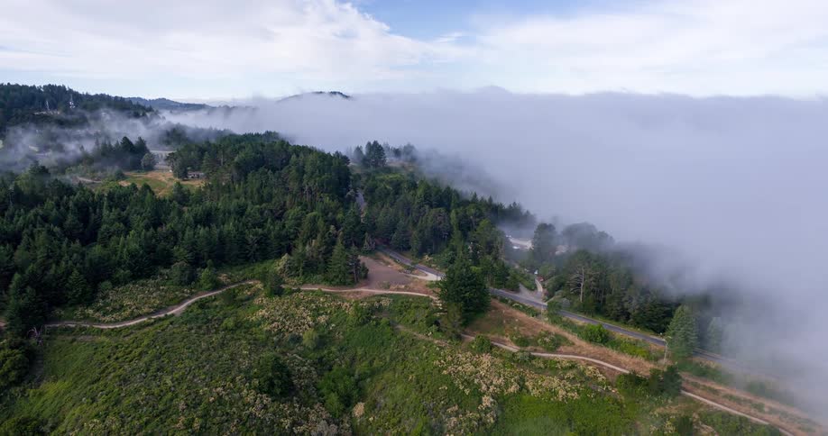 A winding dirt trail cuts through a mistcovered hillside densely packed with trees