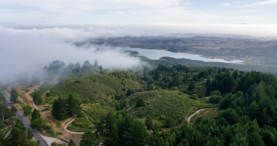 Fog rolls over the landscape