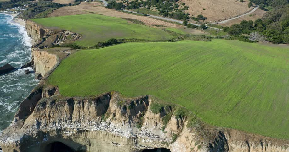 Flocks of birds take flight from the cliffside soaring above sea caves carved into the rugged coastline and a grassy plateau above