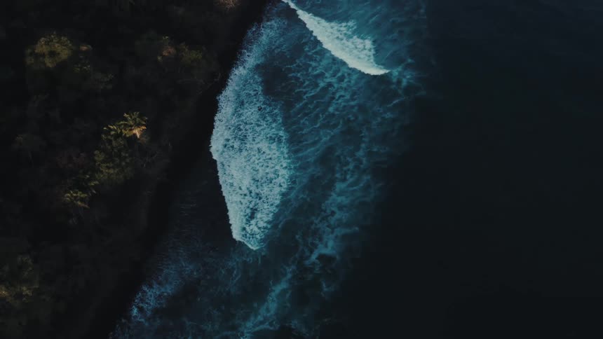 An aerial view shows powerful blue and white waves crashing onto a dark sandy beach bordered by a line of dark green trees and dense foliage