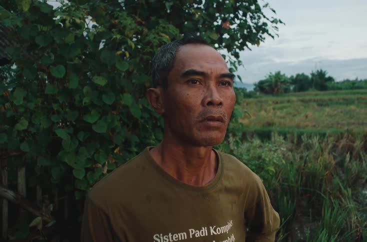 A farmer standing on the field midday